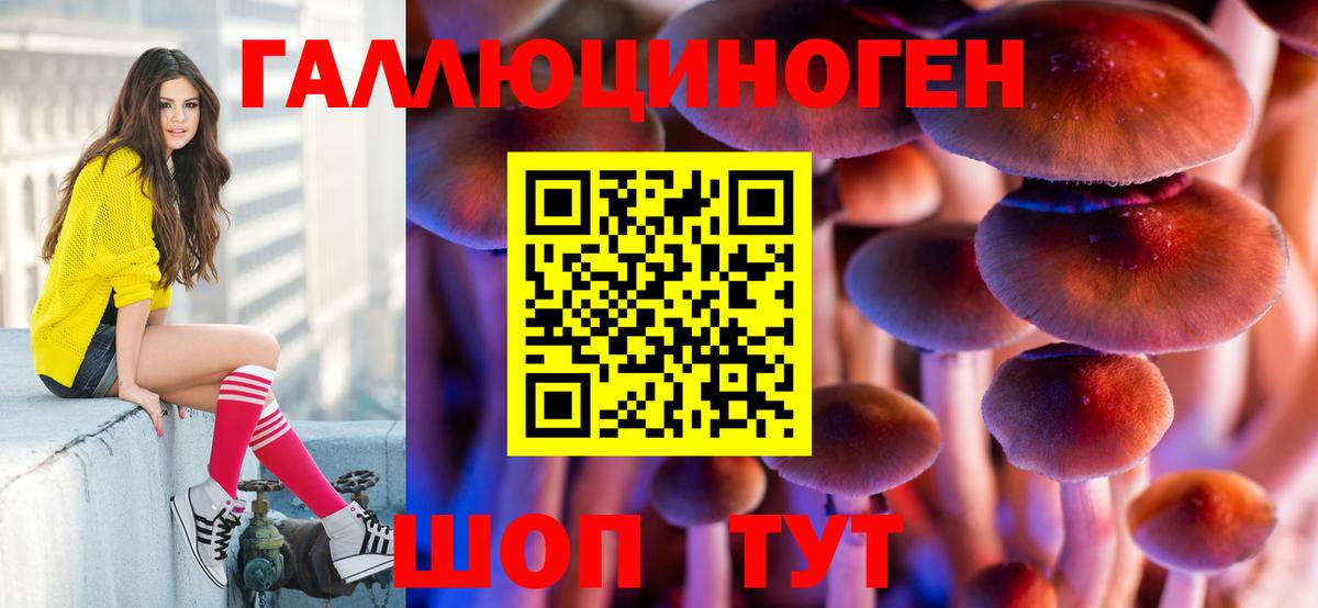 Псилоцибиновые грибы MAGIC MUSHROOMS  Галлюциногенные грибы Cubensis  Зеленокумск  Вход с VPN 